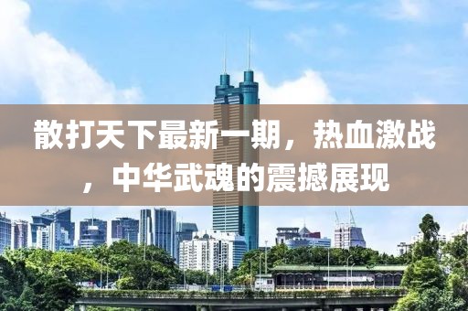 散打天下最新一期，熱血激戰(zhàn)，中華武魂的震撼展現(xiàn)