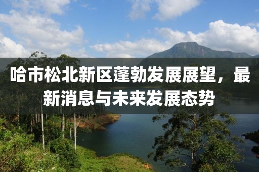 哈市松北新區(qū)蓬勃發(fā)展展望，最新消息與未來發(fā)展態(tài)勢