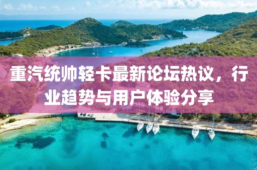 重汽統(tǒng)帥輕卡最新論壇熱議，行業(yè)趨勢(shì)與用戶體驗(yàn)分享