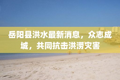 岳陽縣洪水最新消息，眾志成城，共同抗擊洪澇災害