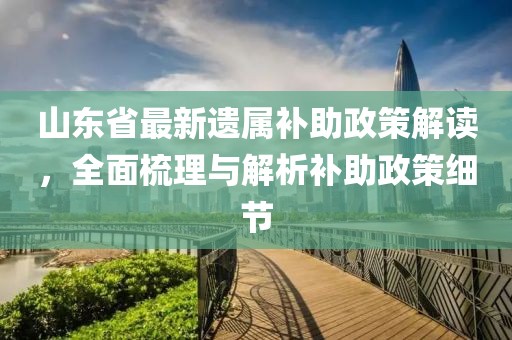 山東省最新遺屬補助政策解讀，全面梳理與解析補助政策細節(jié)