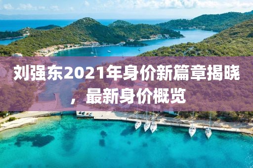 劉強(qiáng)東2021年身價(jià)新篇章揭曉，最新身價(jià)概覽