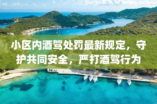 小區(qū)內酒駕處罰最新規(guī)定，守護共同安全，嚴打酒駕行為