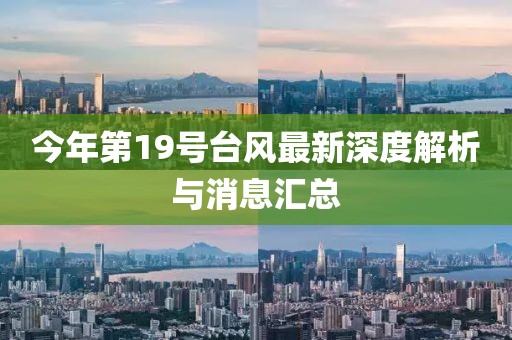 今年第19號臺風最新深度解析與消息匯總