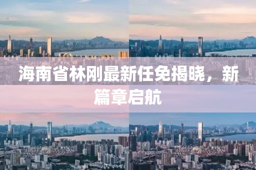 海南省林剛最新任免揭曉，新篇章啟航