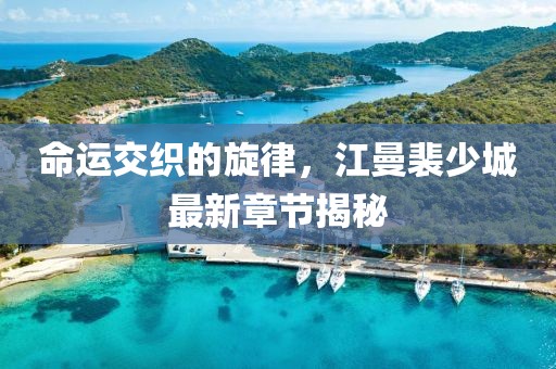 命運交織的旋律，江曼裴少城最新章節(jié)揭秘