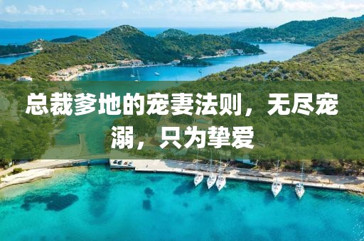 總裁爹地的寵妻法則，無盡寵溺，只為摯愛