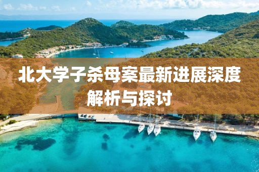 北大學(xué)子殺母案最新進(jìn)展深度解析與探討