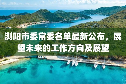 瀏陽市委常委名單最新公布，展望未來的工作方向及展望