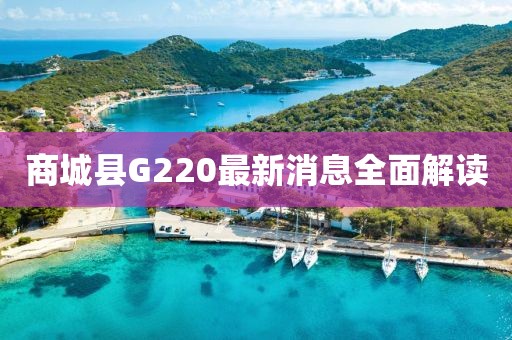 商城縣G220最新消息全面解讀