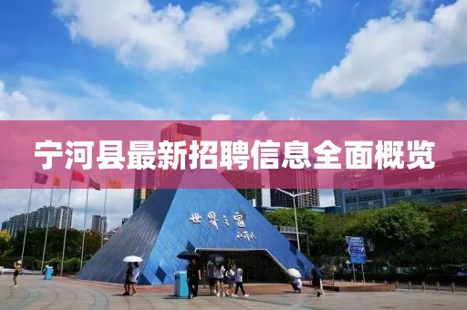 寧河縣最新招聘信息全面概覽