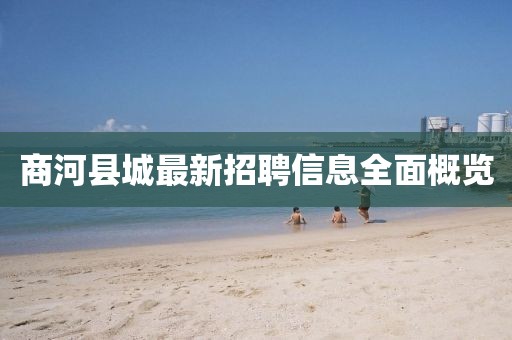 商河縣城最新招聘信息全面概覽