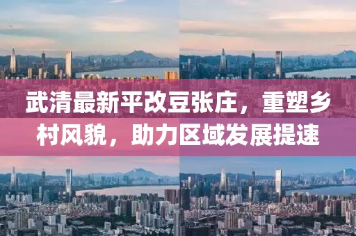 武清最新平改豆張莊，重塑鄉(xiāng)村風(fēng)貌，助力區(qū)域發(fā)展提速