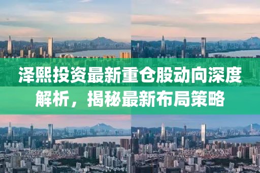 澤熙投資最新重倉股動向深度解析，揭秘最新布局策略