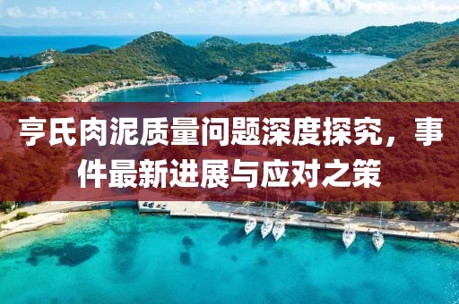 亨氏肉泥質(zhì)量問題深度探究，事件最新進(jìn)展與應(yīng)對(duì)之策