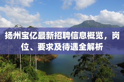 揚州寶億最新招聘信息概覽，崗位、要求及待遇全解析