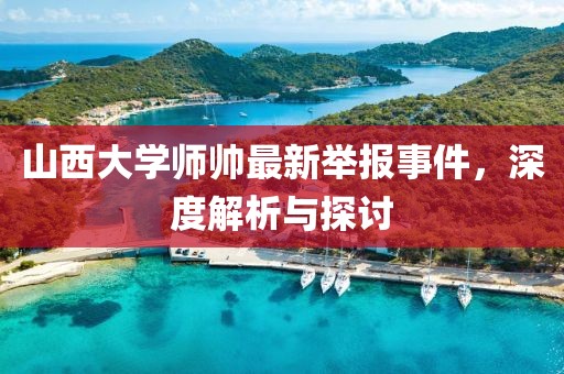 山西大學(xué)師帥最新舉報(bào)事件，深度解析與探討