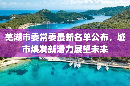 蕪湖市委常委最新名單公布，城市煥發(fā)新活力展望未來