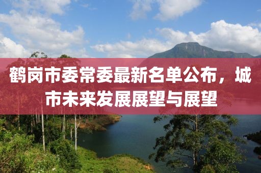 鶴崗市委常委最新名單公布，城市未來發(fā)展展望與展望