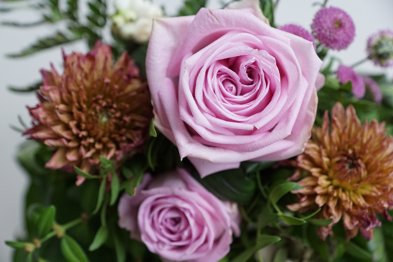 授之溫存 第29頁