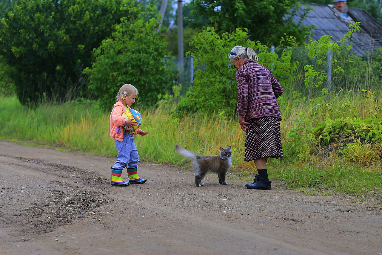 最新農(nóng)村愛情電視劇，鄉(xiāng)村生活的浪漫與真實(shí)之旅