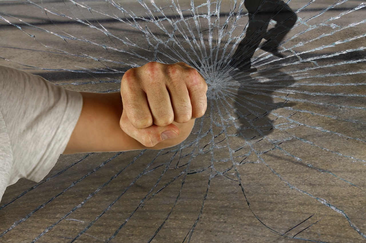 龍的世界最新破解版，警示違法犯罪的虛擬世界風(fēng)險(xiǎn)揭秘