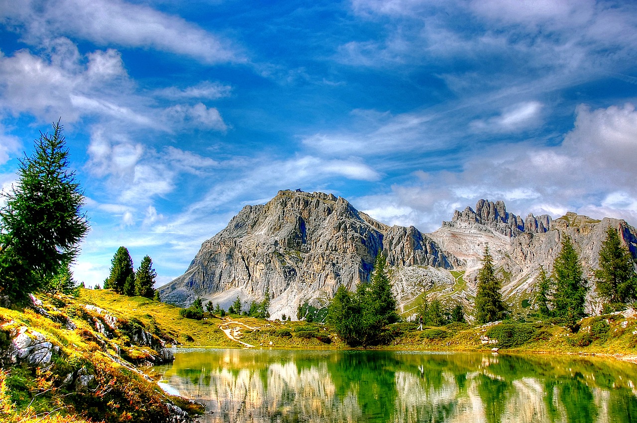 上海重塑城市風(fēng)貌與居住環(huán)境，商住整頓最新動態(tài)積極行動報(bào)道