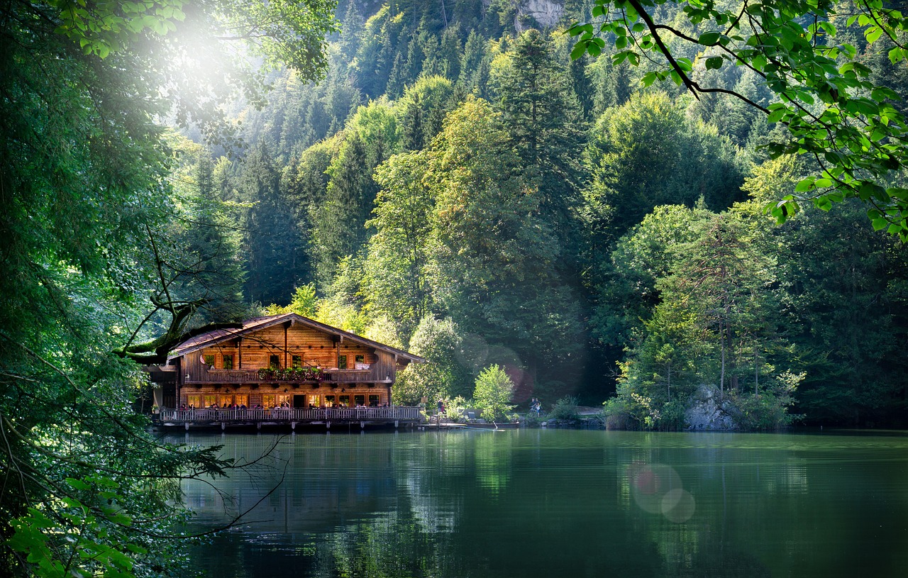 灌云五農(nóng)景苑最新動態(tài)揭秘，最新進展與資訊更新