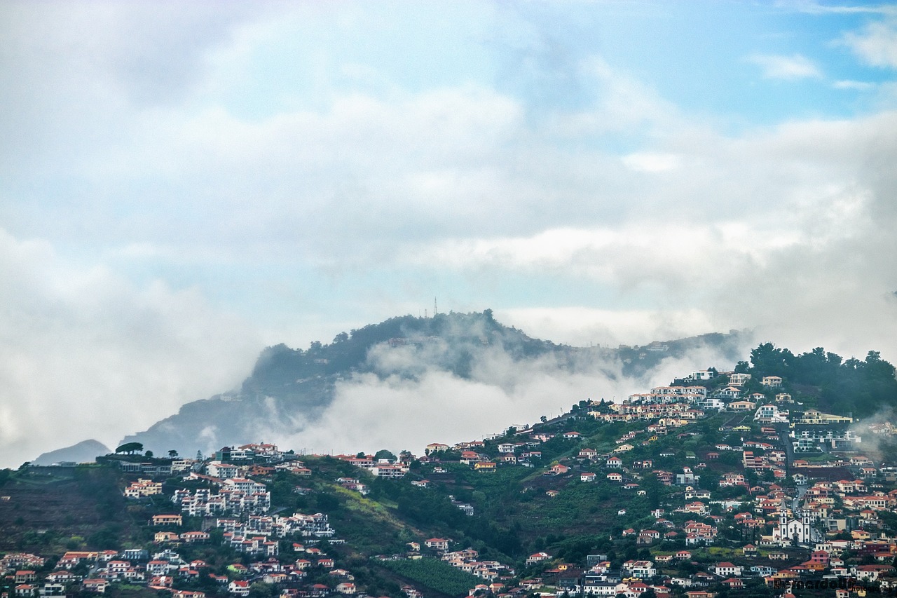 濟(jì)南新聞網(wǎng)最新新聞，城市動(dòng)態(tài)與經(jīng)濟(jì)脈搏的交融報(bào)道