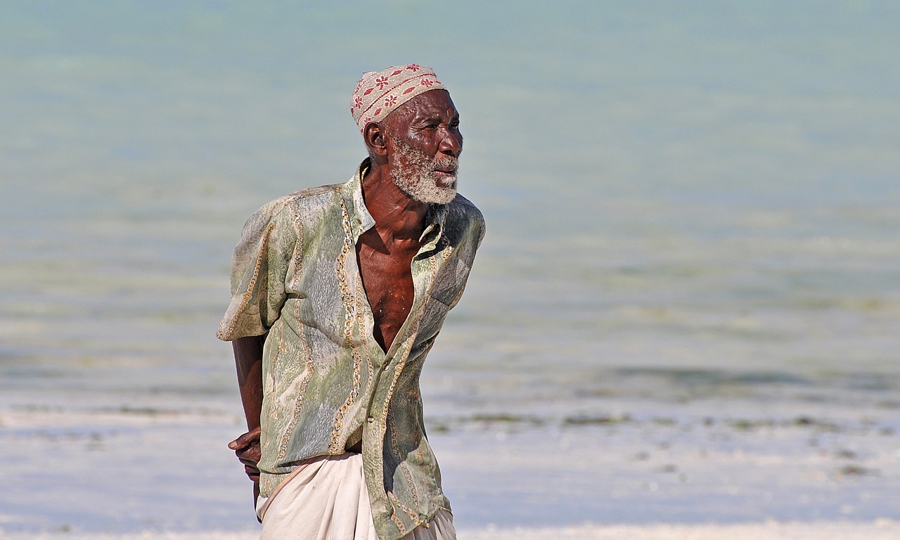 中華孝道園最新消息,中華孝道園最新動(dòng)態(tài)，傳承與創(chuàng)新的融合