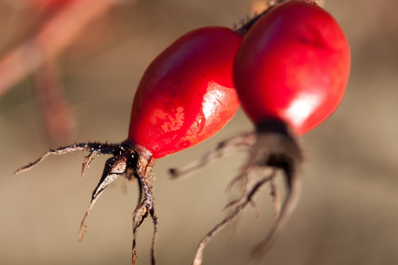邳州工廠招工最新動態(tài)，探尋發(fā)展機遇，共筑美好未來