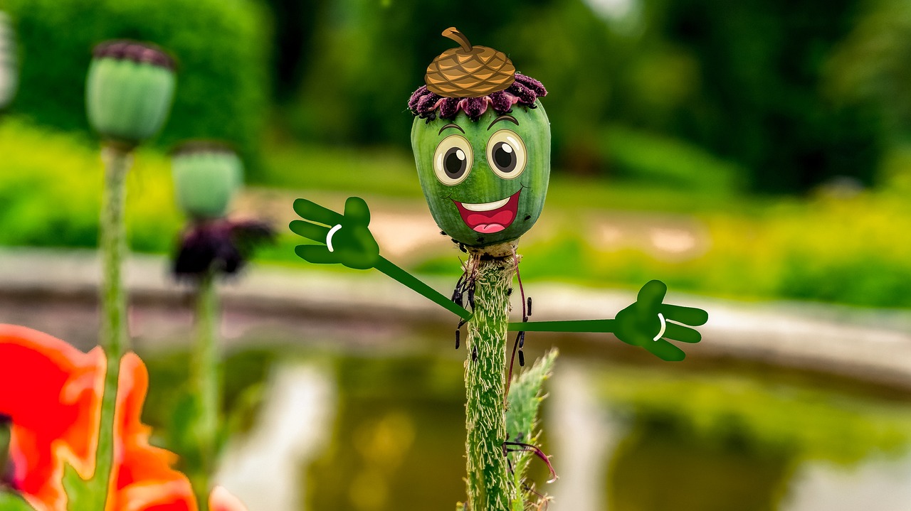 阿凡提下載免費(fèi)最新版，智慧與樂趣的完美融合體驗(yàn)