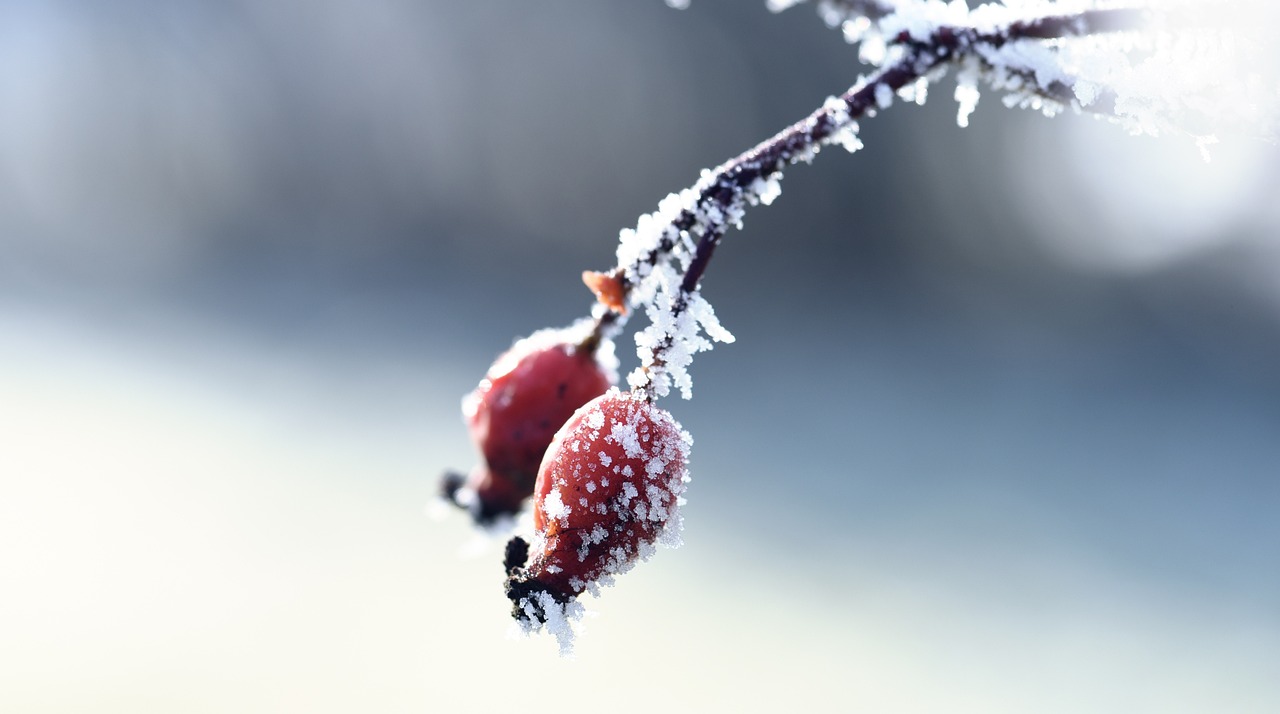 資興新房出售最新消息揭秘，最新房源動態(tài)與優(yōu)惠信息一網打盡！