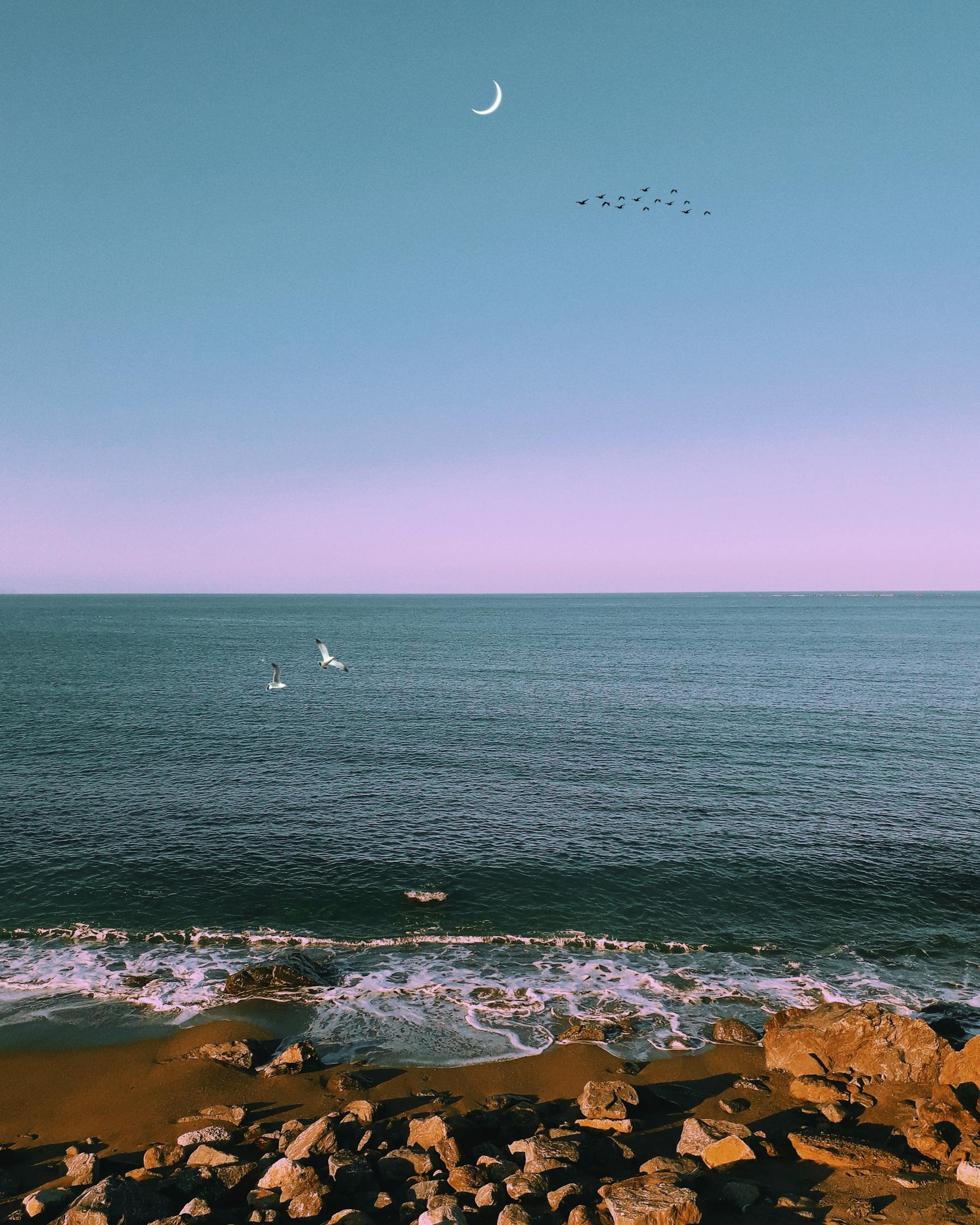 馬特波莫最新動(dòng)態(tài)揭秘，引領(lǐng)前沿科技，開啟未來趨勢新篇章