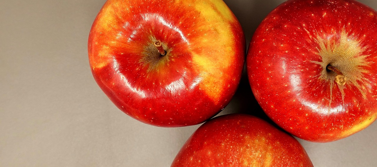 濰坊巴塞小鎮(zhèn)最新動態(tài)，揭開魅力小鎮(zhèn)新篇章