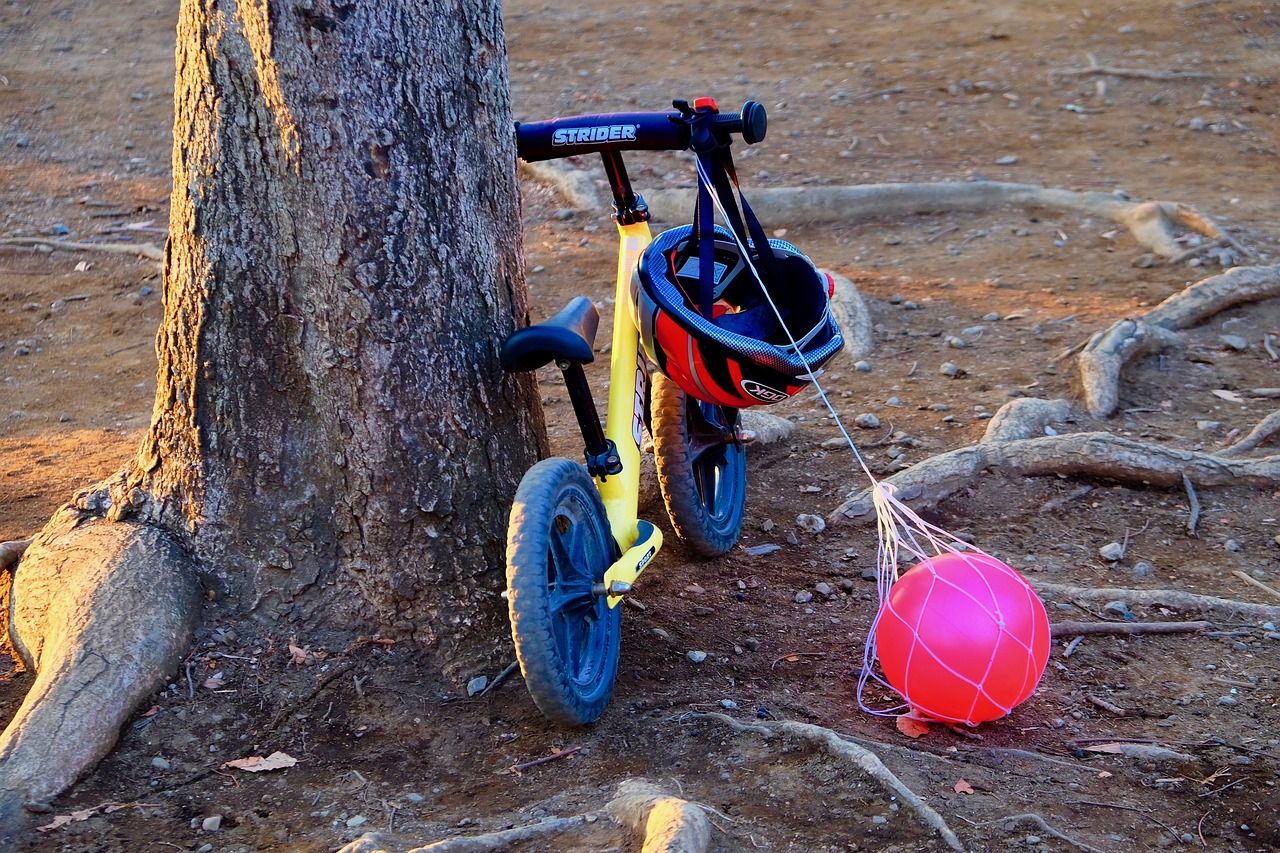 收養(yǎng)法修改最新動(dòng)態(tài)，重塑收養(yǎng)制度，保障兒童權(quán)益