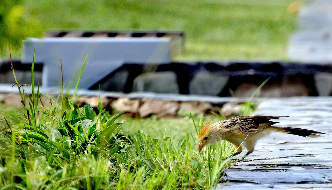 蚌埠匯金廣場(chǎng)最新動(dòng)態(tài)更新，最新消息一覽
