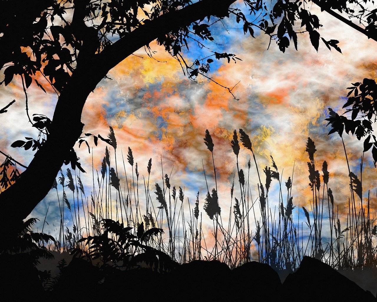 探尋靈魂的迷離之旅，魂不守舍沈秋最新章節(jié)