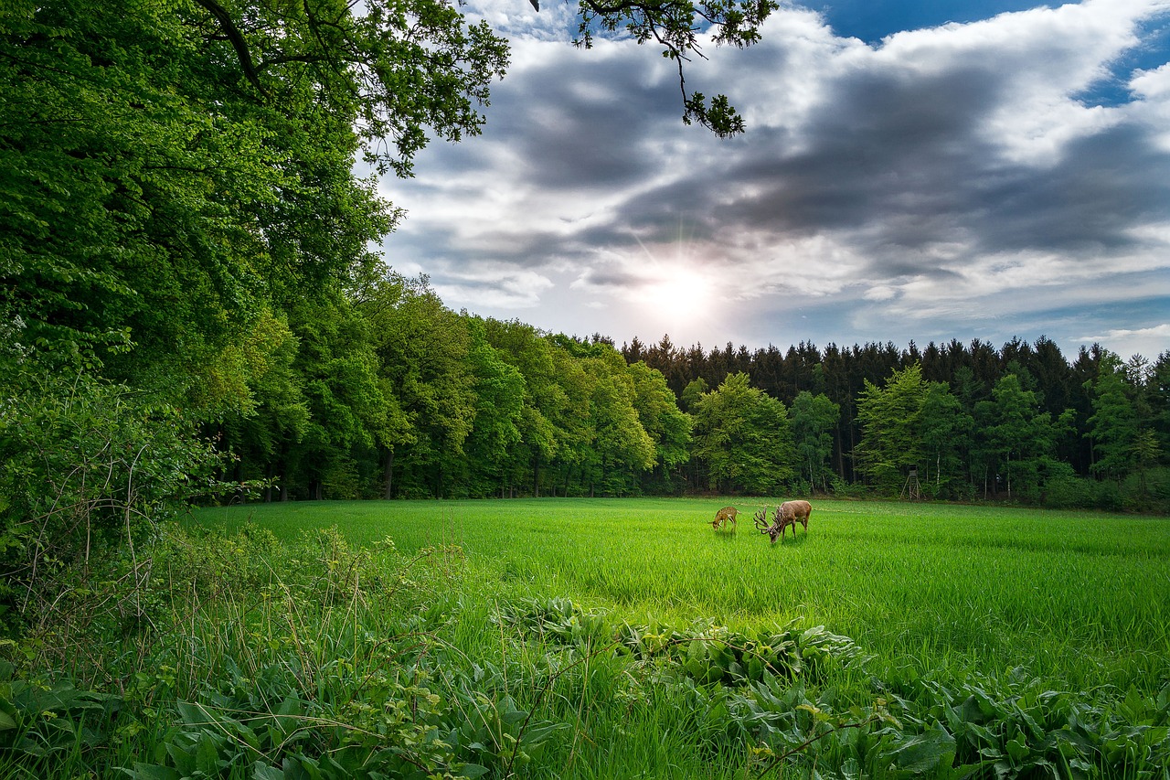 永州火電廠最新消息深度解析，動態(tài)與進(jìn)展報(bào)告