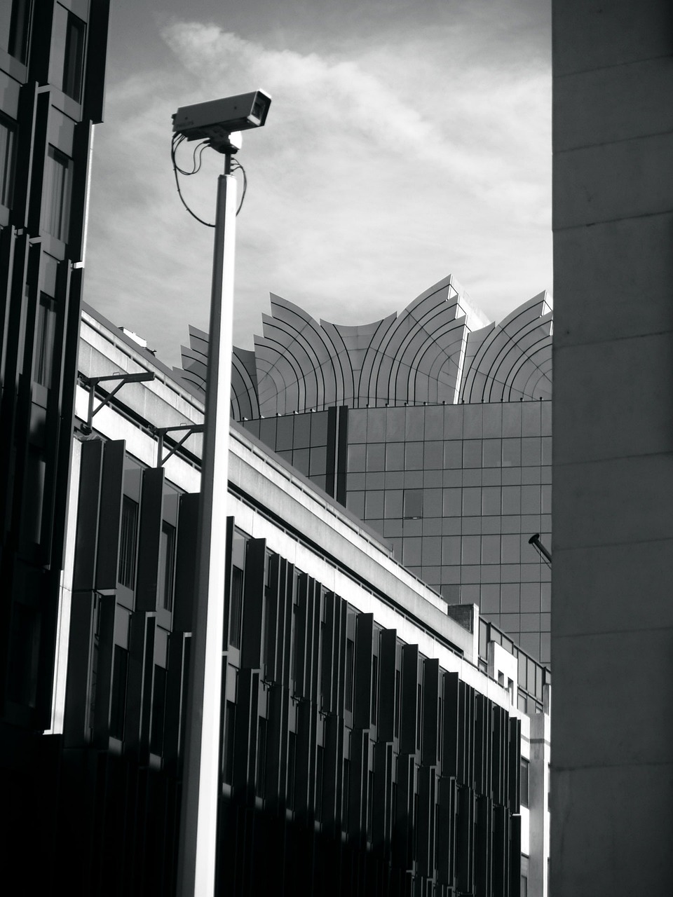 壽縣迎河鎮(zhèn)最新消息概覽，動(dòng)態(tài)更新與資訊一覽