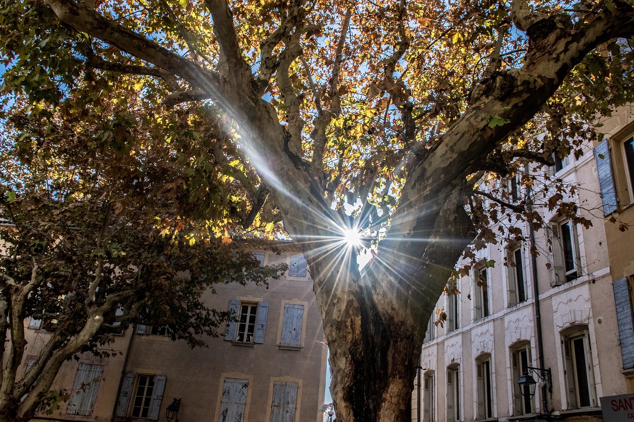 陽光大道點(diǎn)贊新時(shí)代，輝煌篇章的展現(xiàn)