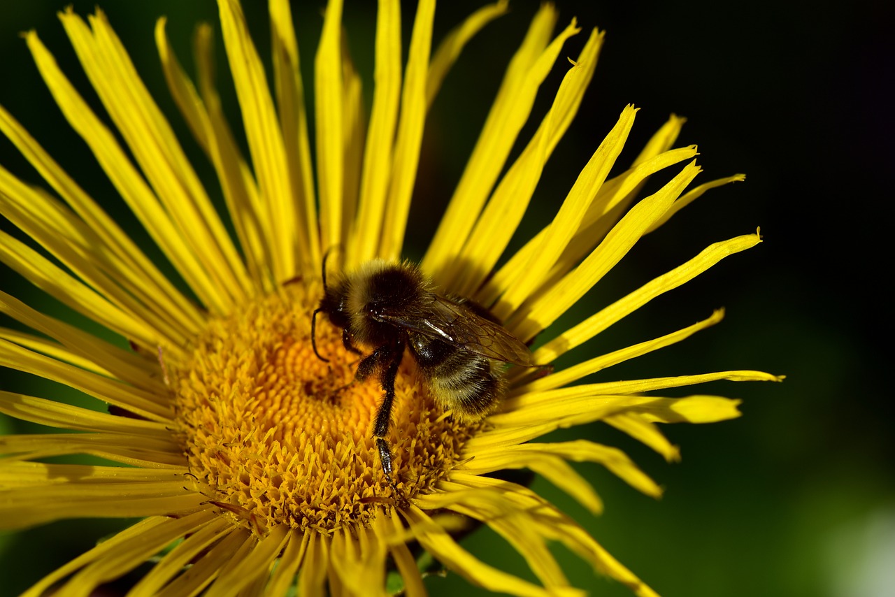 太原城市改造最新動(dòng)態(tài)，煥新顏，發(fā)展提速