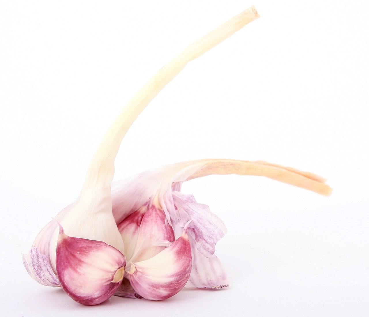 香兒最新廣場(chǎng)舞雙人舞，舞動(dòng)生活的優(yōu)美旋律