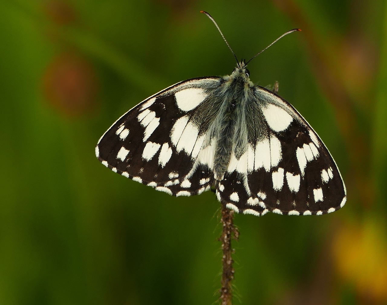 容縣二手房最新信息概覽，最新房源、價(jià)格及交易動(dòng)態(tài)一網(wǎng)打盡！