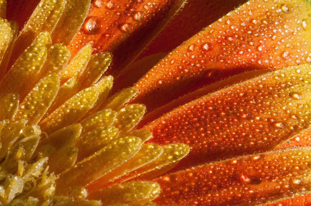 鄭州東岸尚景最新動態(tài)，城市新篇章的璀璨明珠