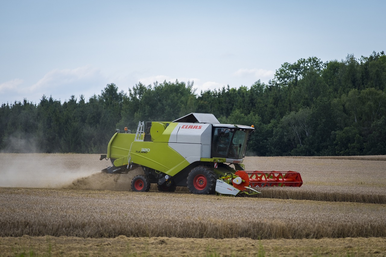 最新小吃食品機(jī)械設(shè)備，提升生產(chǎn)效率與品質(zhì)的核心利器