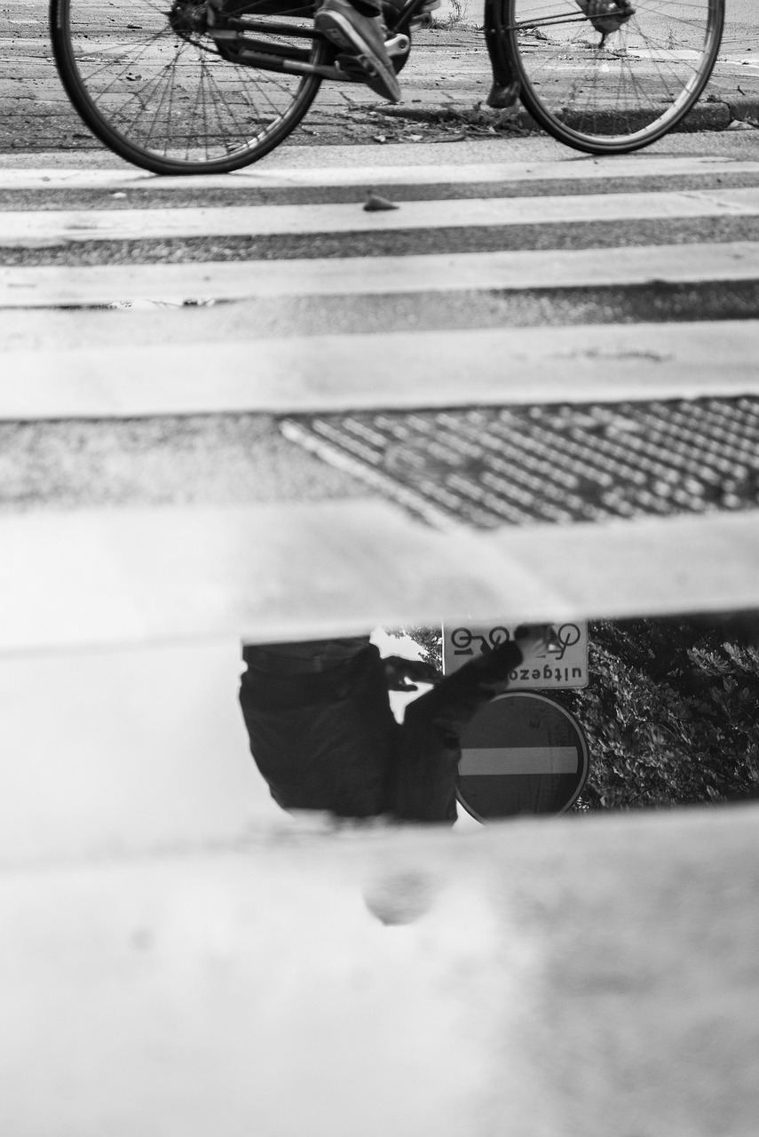 膠南陽光一號(hào)最新動(dòng)態(tài)，城市發(fā)展的璀璨明珠持續(xù)更新中