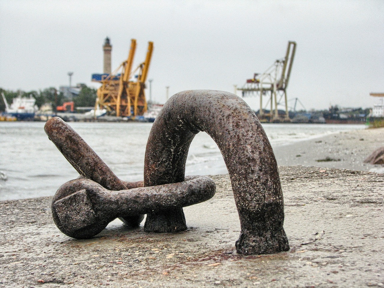 大連外經(jīng)貿(mào)最新消息概覽，最新動態(tài)與發(fā)展分析