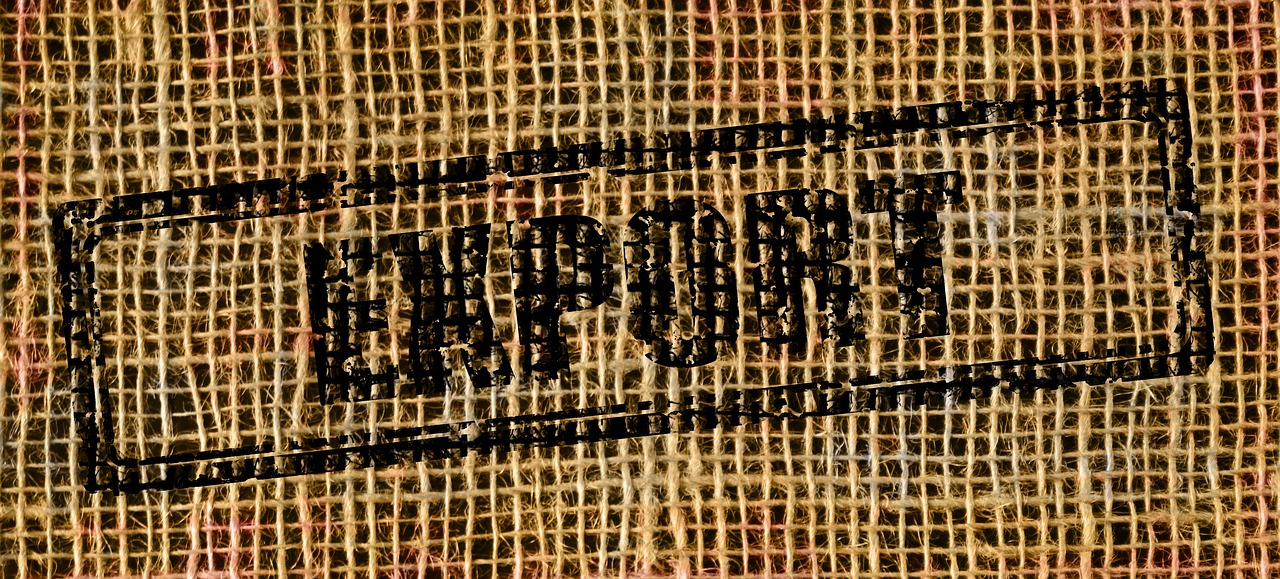 千里清秋 第15頁