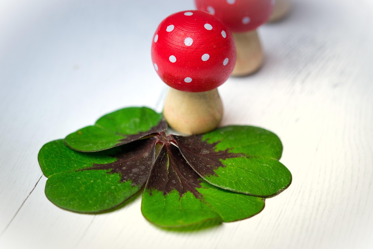 華清御園最新動態(tài)，展現(xiàn)獨特魅力與未來發(fā)展藍(lán)圖揭秘